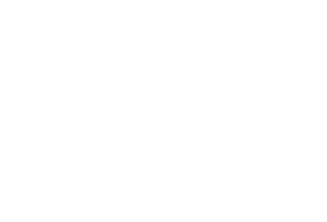 calligo-white
